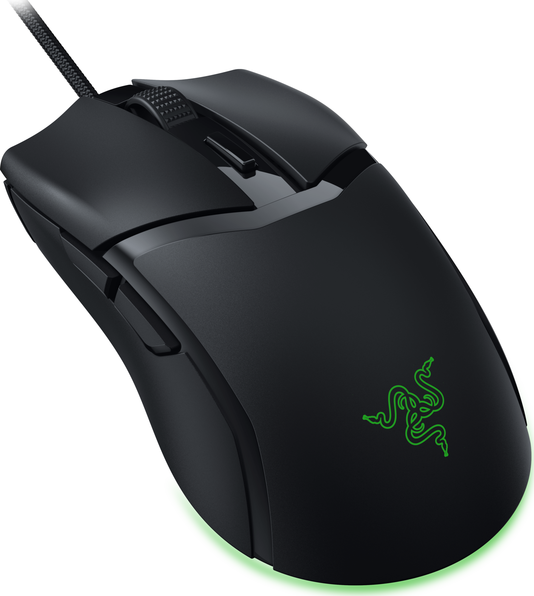 Razer Cobra, Bild 2 (14.07.2024)